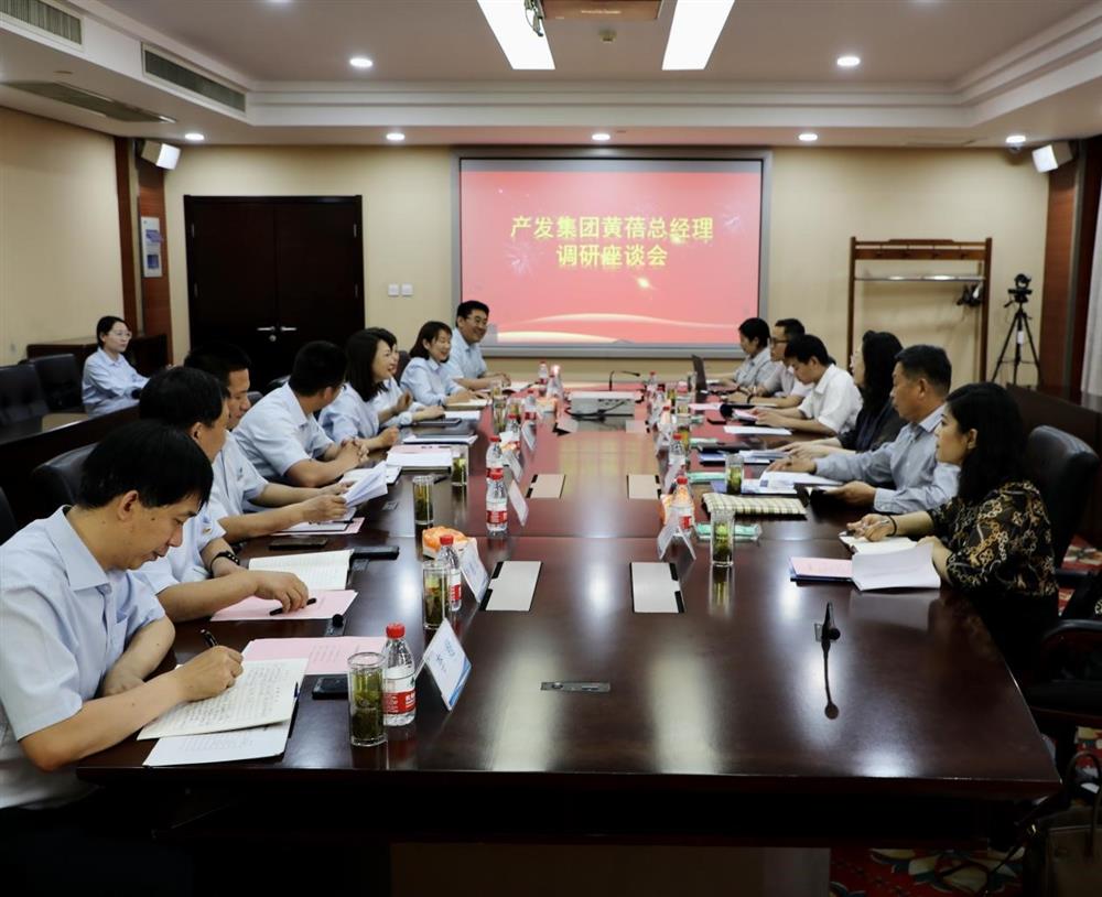 集團黨委副書記、總經(jīng)理黃蓓帶隊調(diào)研濟南市工程咨詢院