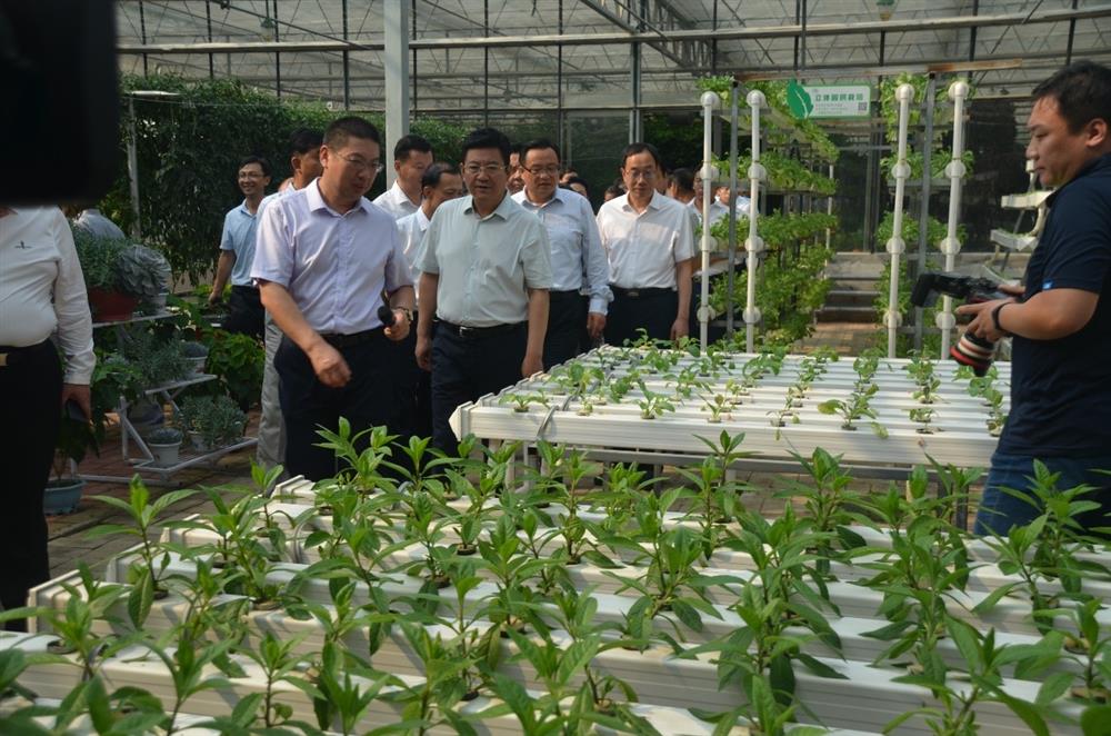 科技助農(nóng)，播撒光的種子  精準(zhǔn)扶貧，助力鄉(xiāng)村振興